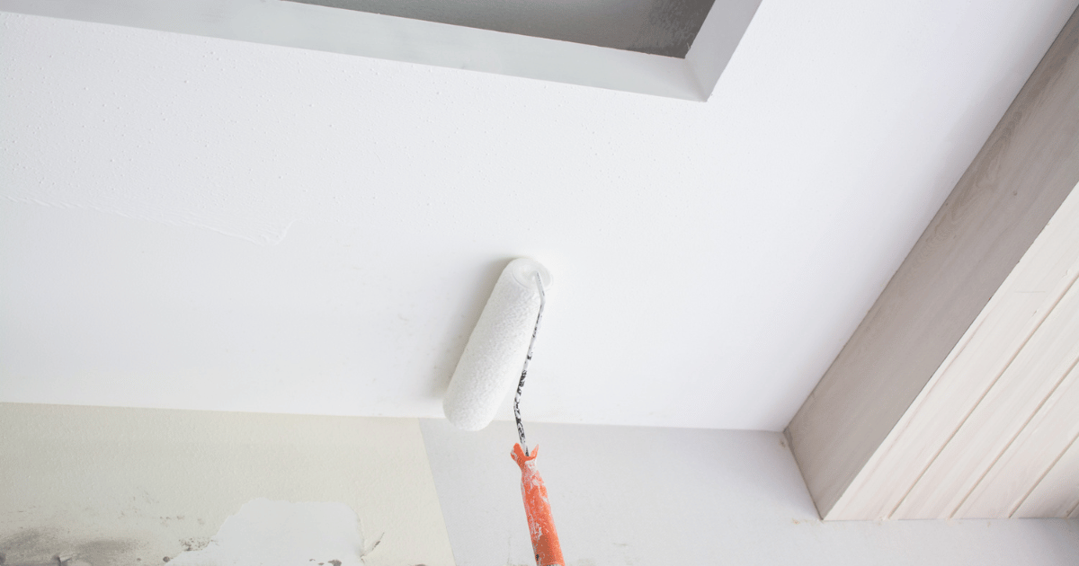 Up to 40ft height Painting Services